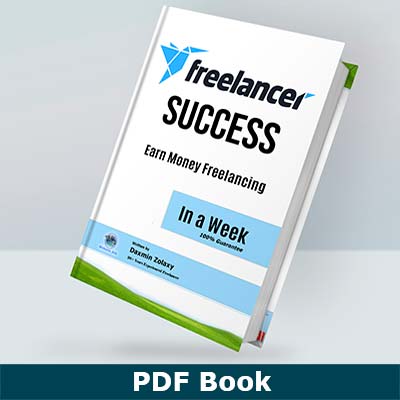 Freelancer Success eBook by Daxmin